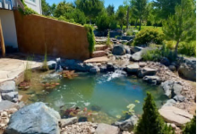Benefits Of Pond Installation For Backyard Landscaping