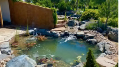 Benefits Of Pond Installation For Backyard Landscaping