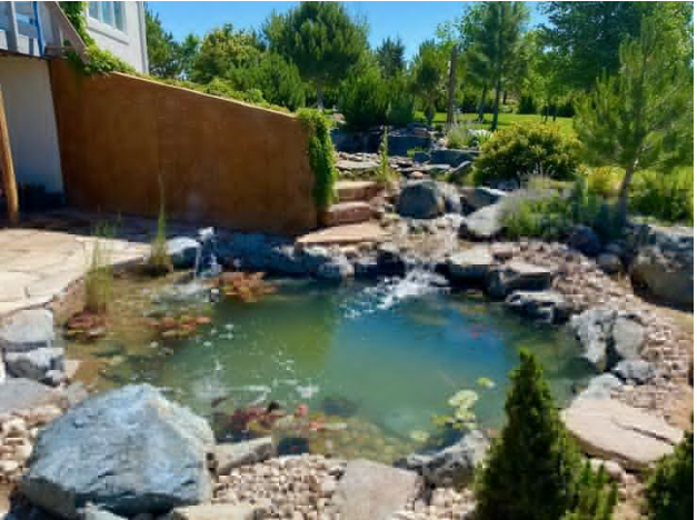 Benefits Of Pond Installation For Backyard Landscaping