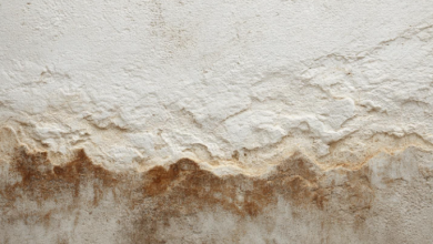 A Beginner’s Guide to Handling Unexpected Property Damage